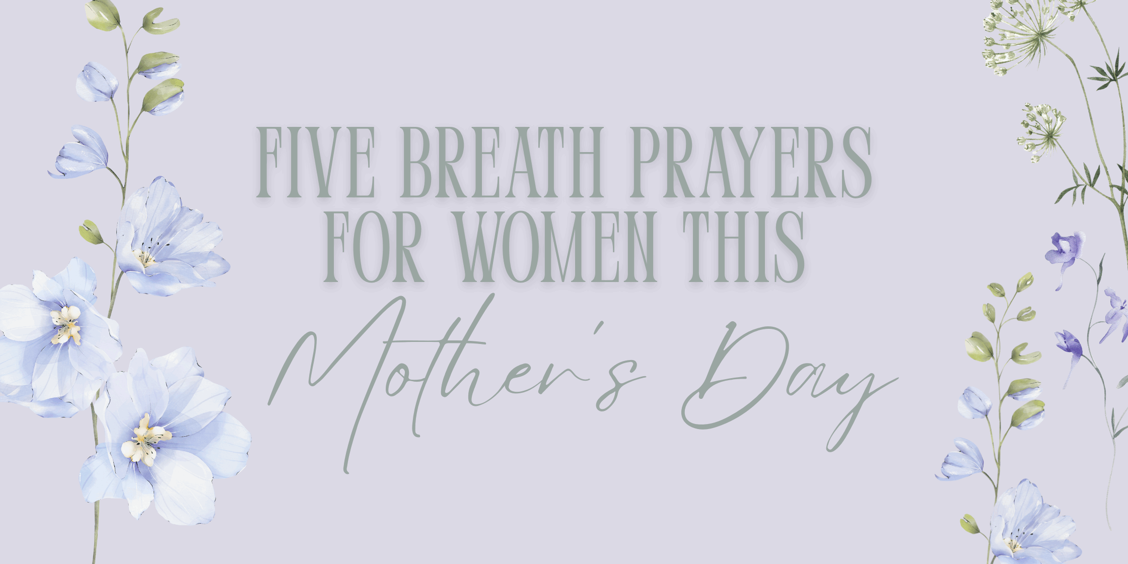 blog banner